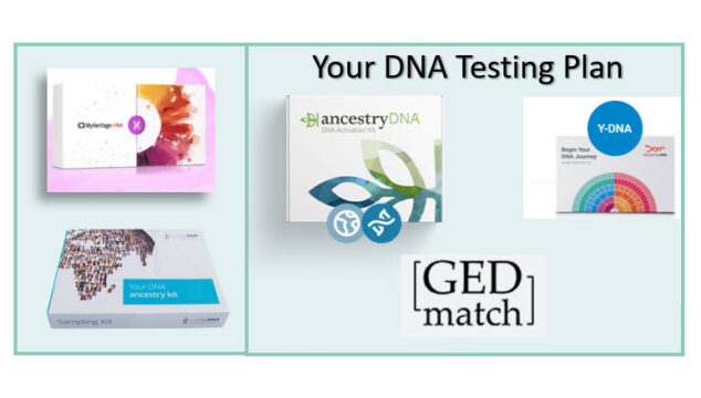 The DNA Testing Plan Every Genealogist Needs to Know